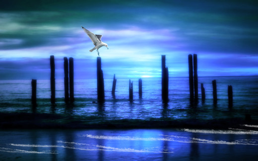 699099 (a): :1920x1200